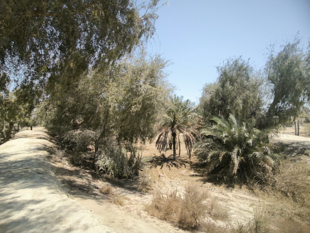 سیل‌بندهای سهیلی؛ سپر طبیعی روستا در برابر سیلاب و نعمتی برای نخلستان‌ها